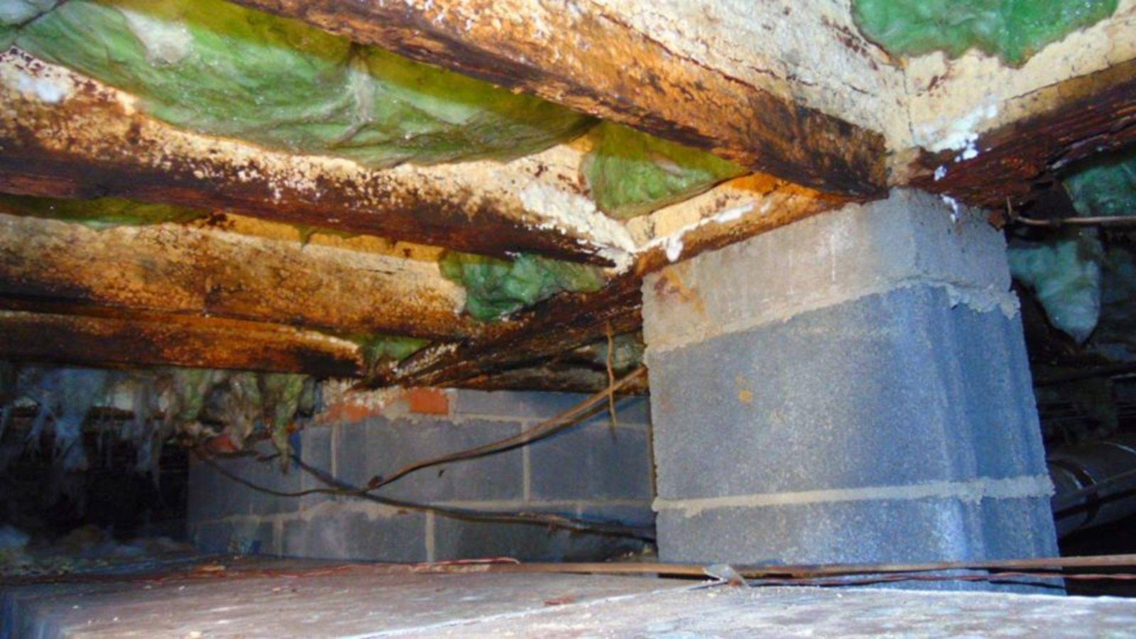 Crawlspace Moisture Inspection - Eastern North Carolina