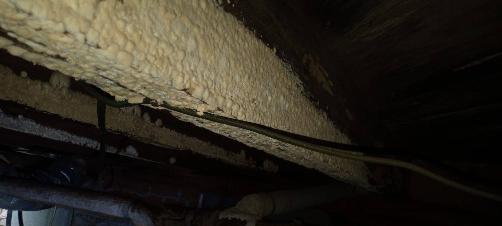 Crawlspace moisture damage Eastern North Carolina